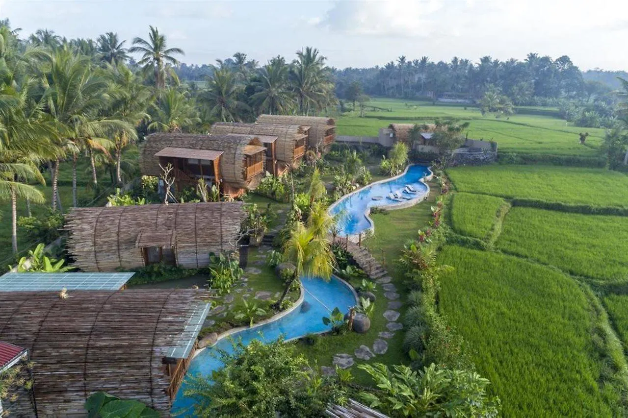 Bed & Breakfast Beehouse Dijiwa Ubud